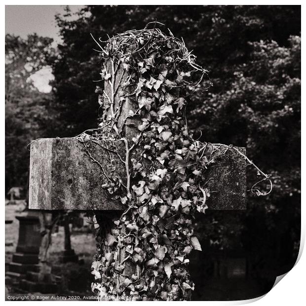 Ivy growing on a cross Print by Roger Aubrey