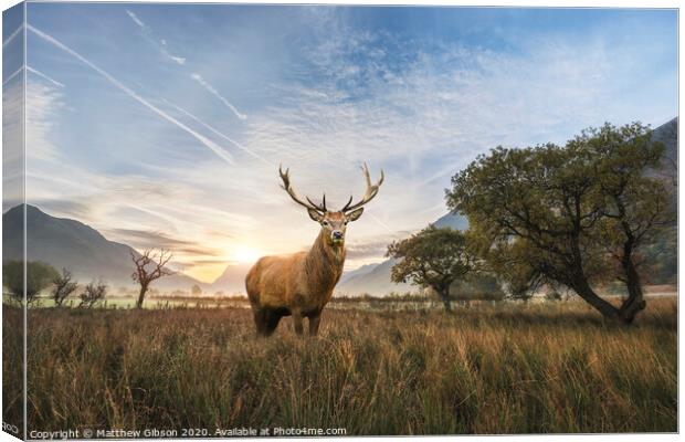 Powerful red deer stag in countryside landscape scene looking out into distance contemplation concept image Canvas Print by Matthew Gibson