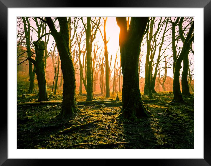 Dawn in the Dales Framed Mounted Print by Jim Day