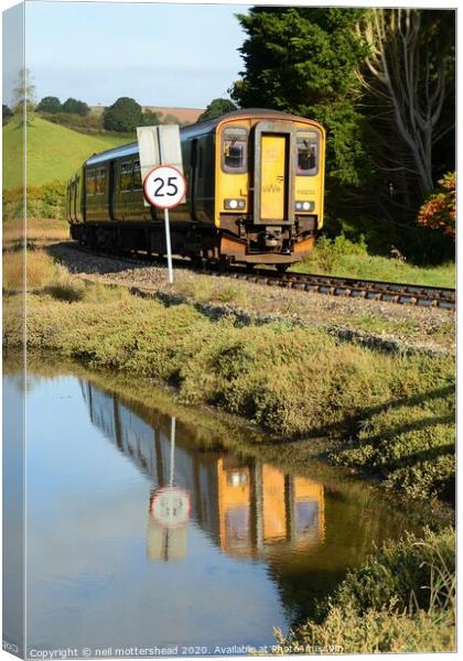 No Hurry On The Looe Valley Line. Canvas Print by Neil Mottershead