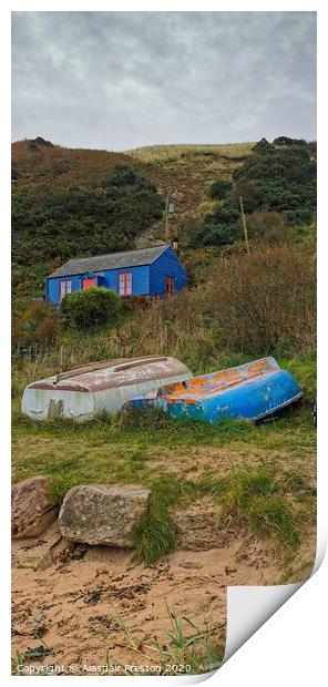 The Blue Hut By The Sea Print by Alasdair Preston
