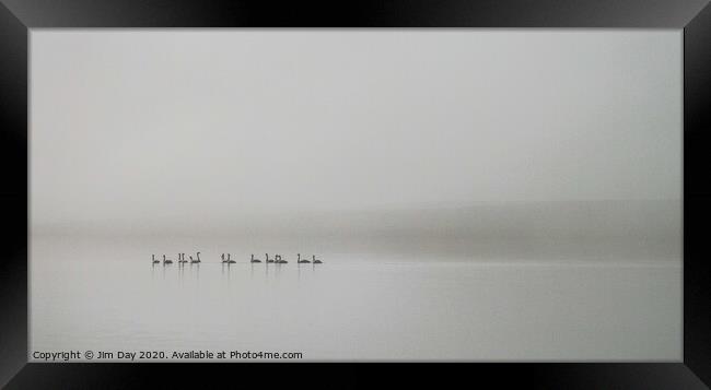Swans in the mist Framed Print by Jim Day