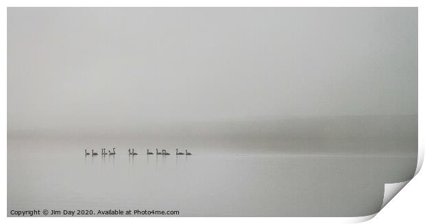 Swans in the mist Print by Jim Day