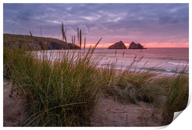  Holywell bay Print by chris smith