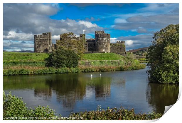 A Magnificent Castle Print by Jane Metters