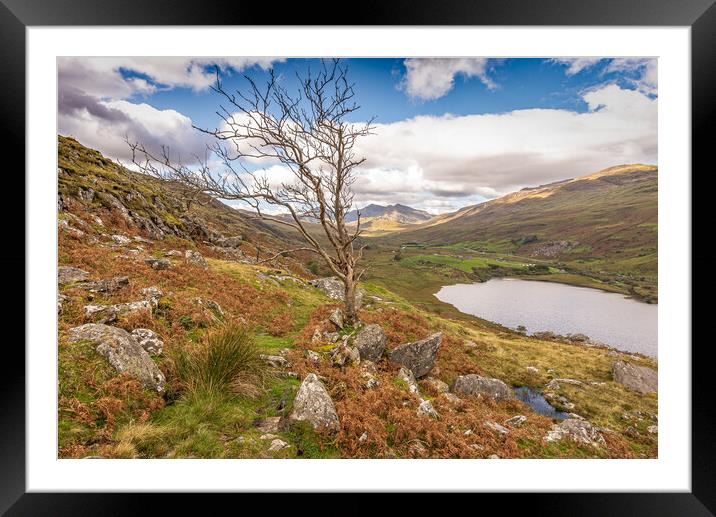 Morning glow Framed Mounted Print by Jonathon barnett