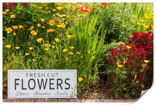 Garden flowers with fresh cut flower sign 0751 Print by Simon Bratt LRPS