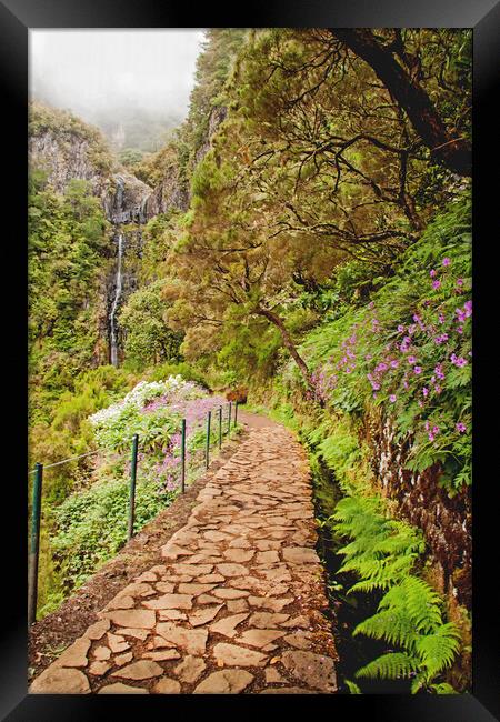 Rabacal Lavada Walk Framed Print by Roger Green