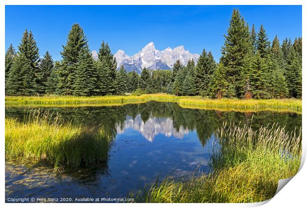 Schwabacher landing with its reflection. Grand Teton national park, WY, USA Print by Pere Sanz