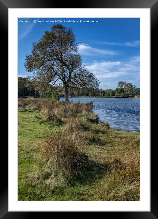 Pen Ponds in Richmond Park Framed Mounted Print by Kevin White