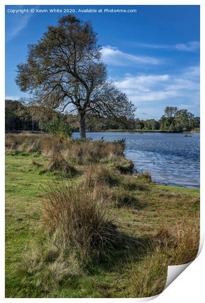 Pen Ponds in Richmond Park Print by Kevin White