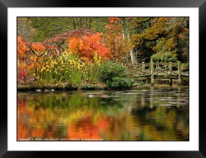 Autumn reflections at Thorp Perrow Framed Mounted Print by ROS RIDLEY