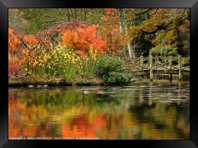 Autumn reflections at Thorp Perrow Framed Print by ROS RIDLEY