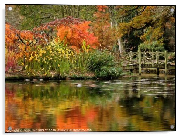 Autumn reflections at Thorp Perrow Acrylic by ROS RIDLEY