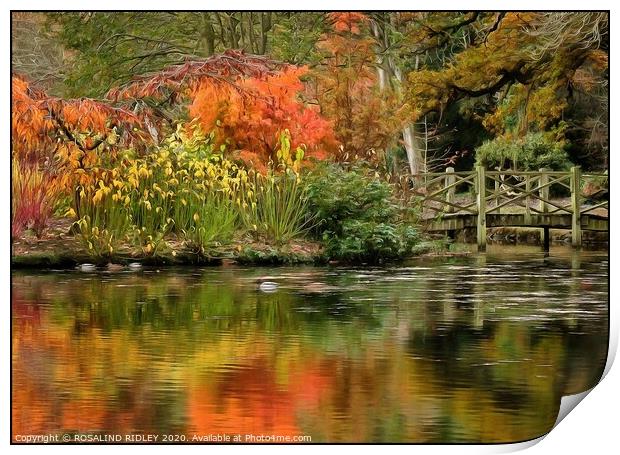 Autumn reflections at Thorp Perrow Print by ROS RIDLEY