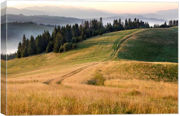 Beautiful scenery of the Carpathian Mountains in the early morning at sunrise and the road passing through the mountain hill Canvas Print by Sergii Petruk