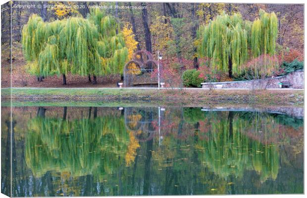 Beautiful green weeping willows on the shore of a pond in an autumn park Canvas Print by Sergii Petruk
