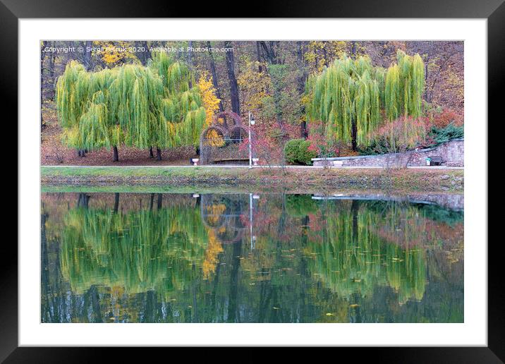 Beautiful green weeping willows on the shore of a pond in an autumn park Framed Mounted Print by Sergii Petruk