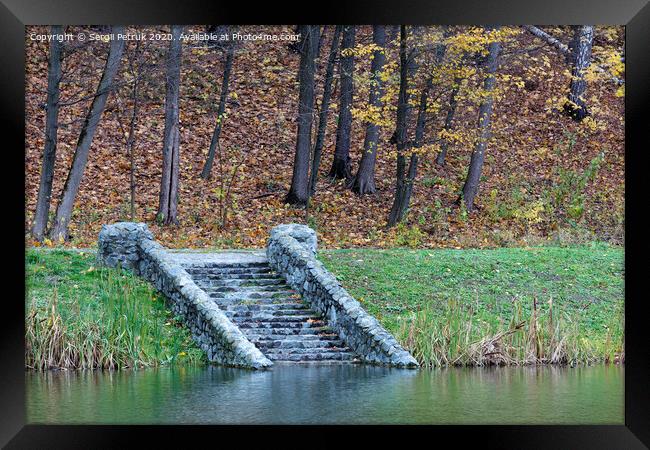 old steps of stone descent on the shore of a forest pond. Framed Print by Sergii Petruk