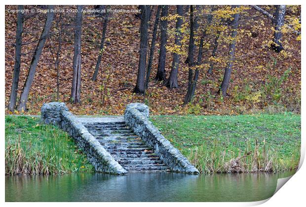 old steps of stone descent on the shore of a forest pond. Print by Sergii Petruk