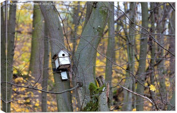 birdhouse hanging on a tree in the forest Canvas Print by Sergii Petruk