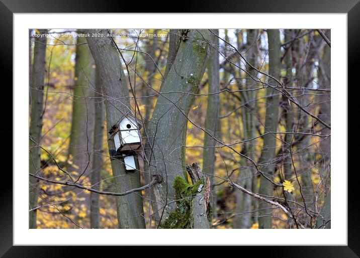 birdhouse hanging on a tree in the forest Framed Mounted Print by Sergii Petruk