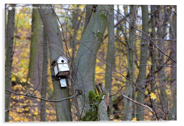 birdhouse hanging on a tree in the forest Acrylic by Sergii Petruk