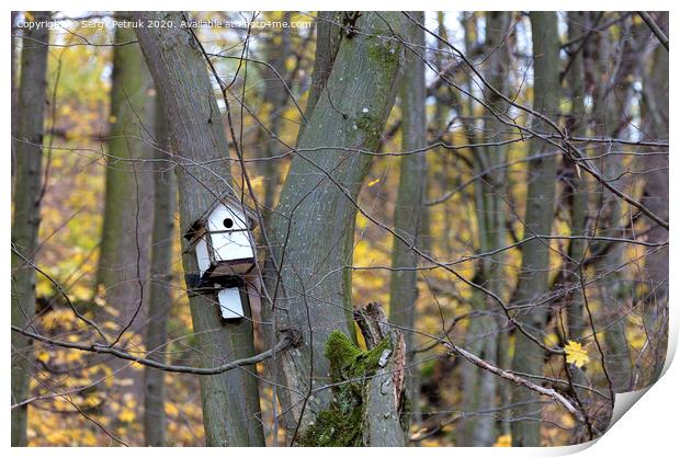 birdhouse hanging on a tree in the forest Print by Sergii Petruk