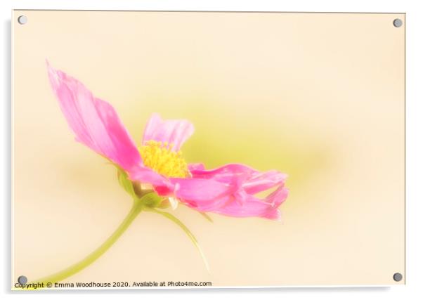 Plant flower Acrylic by Emma Woodhouse