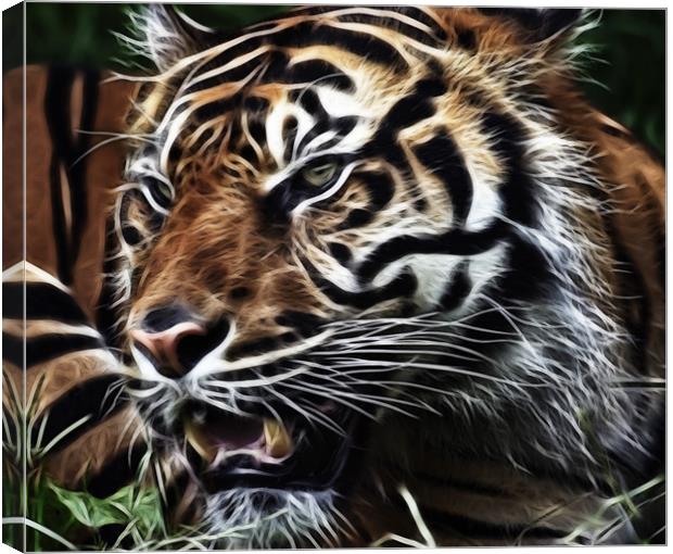 Tiger Art Canvas Print by Sam Smith