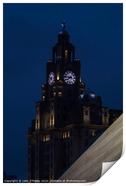 Liverbird Watches Over the Liverpool Waterfront Print by Liam Neon