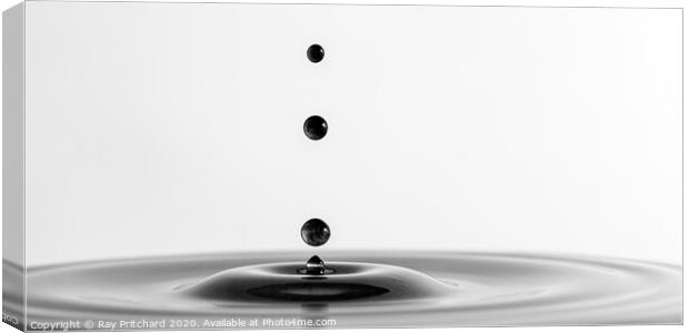 Black Water Canvas Print by Ray Pritchard