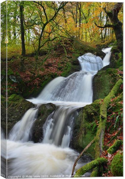 Elan Valley Waterfall in Autumn. Canvas Print by Philip Veale