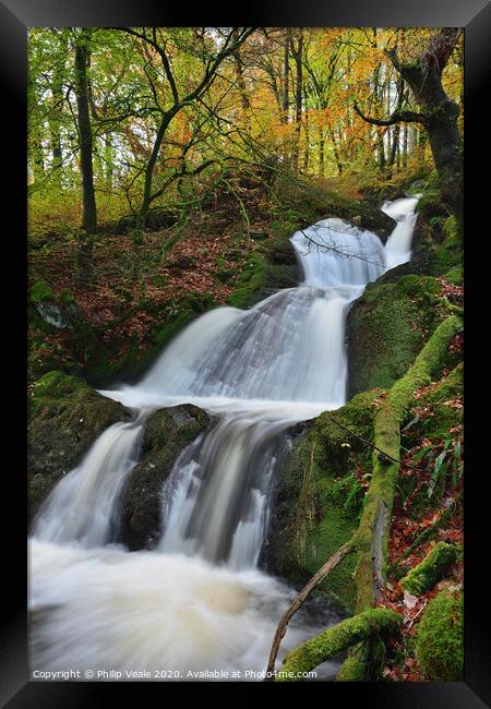 Elan Valley Waterfall in Autumn. Framed Print by Philip Veale