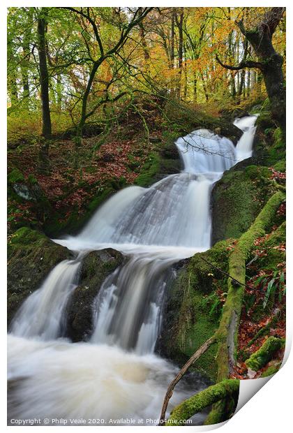 Elan Valley Waterfall in Autumn. Print by Philip Veale