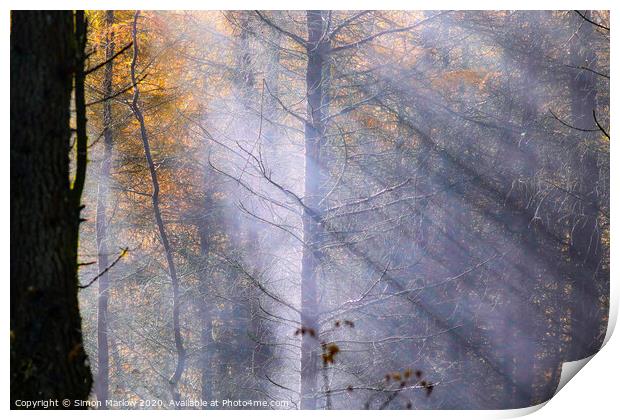 Rays of sunlight through autumn trees Print by Simon Marlow