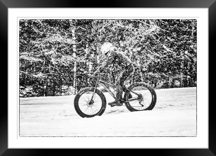 Fatbiking in Quebec Framed Mounted Print by Colin Woods