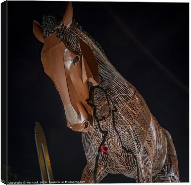 War Horse Canvas Print by kevin cook