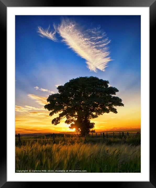 Feather cloud at sunset Framed Mounted Print by Corinne Mills
