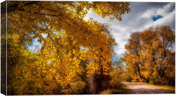 Autumn country road Canvas Print by BRADLEY MORRIS