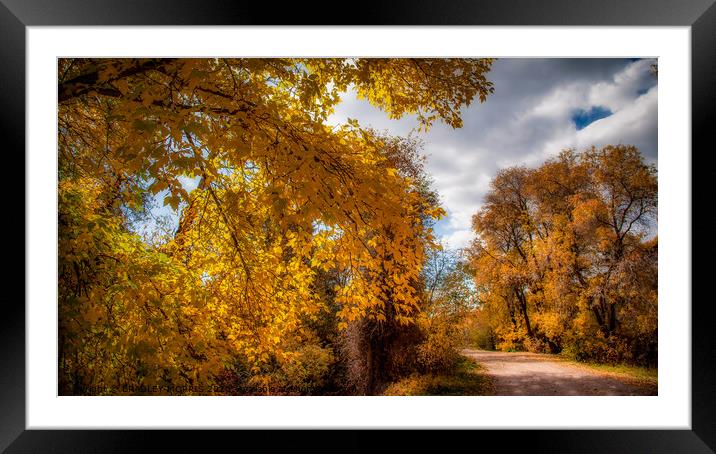 Autumn country road Framed Mounted Print by BRADLEY MORRIS