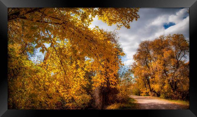 Autumn country road Framed Print by BRADLEY MORRIS