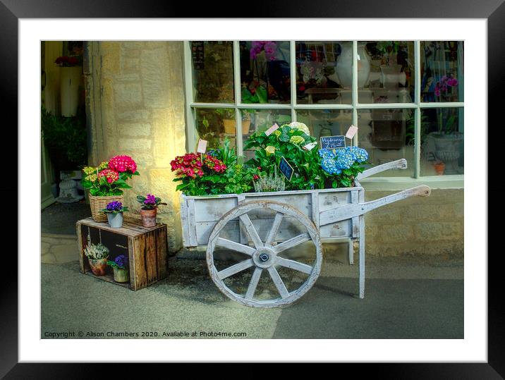 The Florist's Shop Framed Mounted Print by Alison Chambers