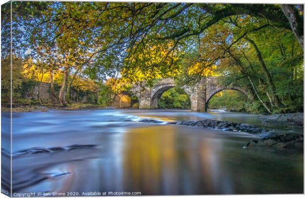 Serene Bridge Over River Dart Canvas Print by Ian Stone