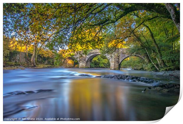 Serene Bridge Over River Dart Print by Ian Stone