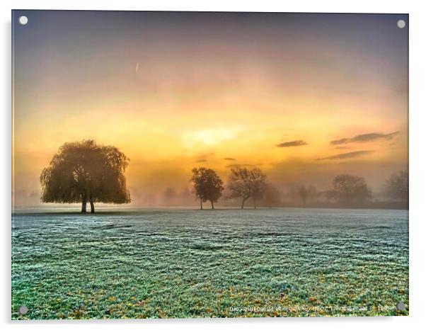 Harrowlodge Park sunrise  Acrylic by Peter Barrett
