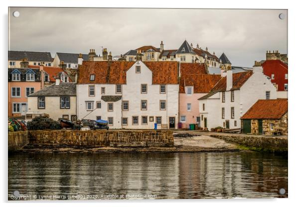 Pittenweem Harbour Acrylic by Lynne Morris (Lswpp)