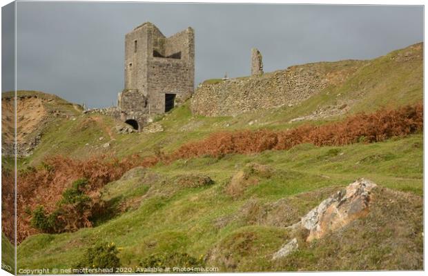 South Caradon Copper Mine, Cornwall Canvas Print by Neil Mottershead