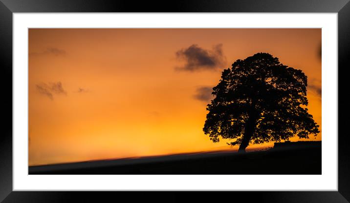 Sunset Tree Framed Mounted Print by Duncan Loraine