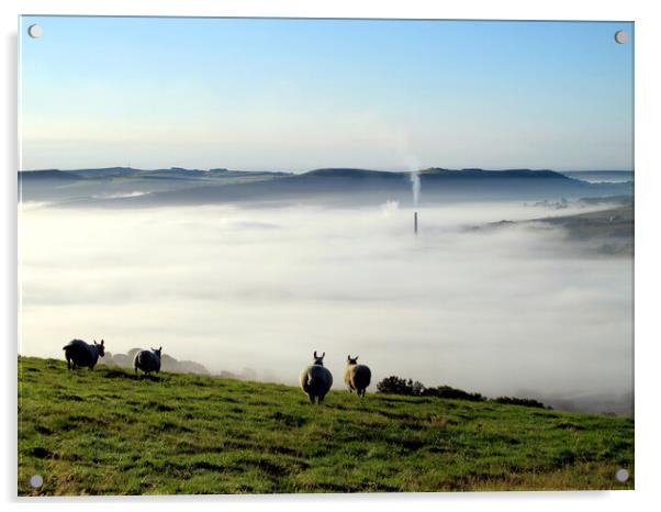 Morning Mist Acrylic by john hill
